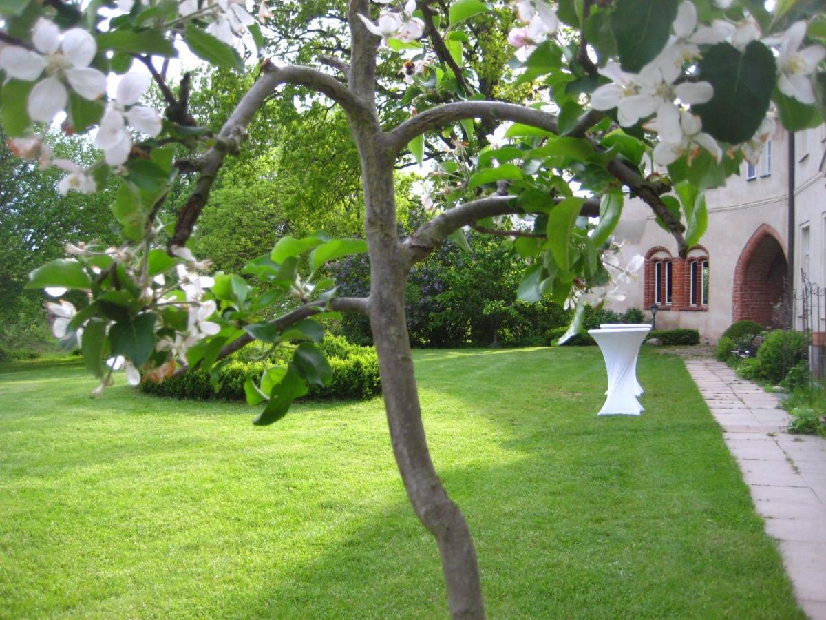 Gartenzimmer Im Schloss Neuhausen Neuhausen  Экстерьер фото