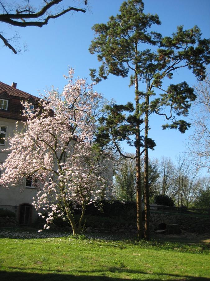 Gartenzimmer Im Schloss Neuhausen Neuhausen  Экстерьер фото